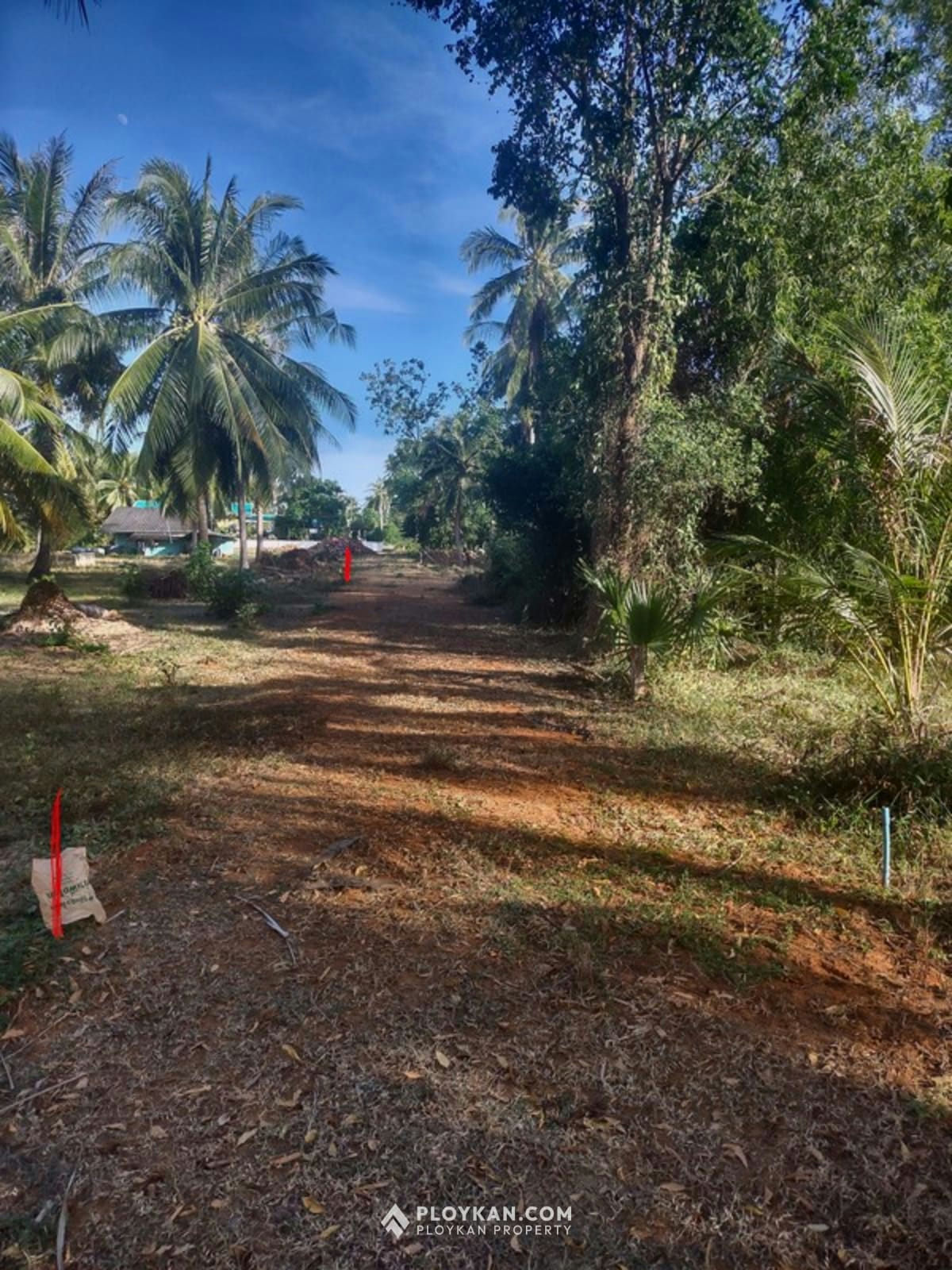 Last Plot Available Near the Sea in Kuiburi