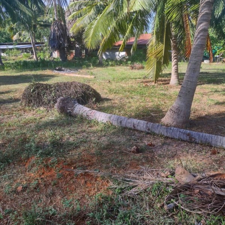 Last Plot Available Near the Sea in Kuiburi