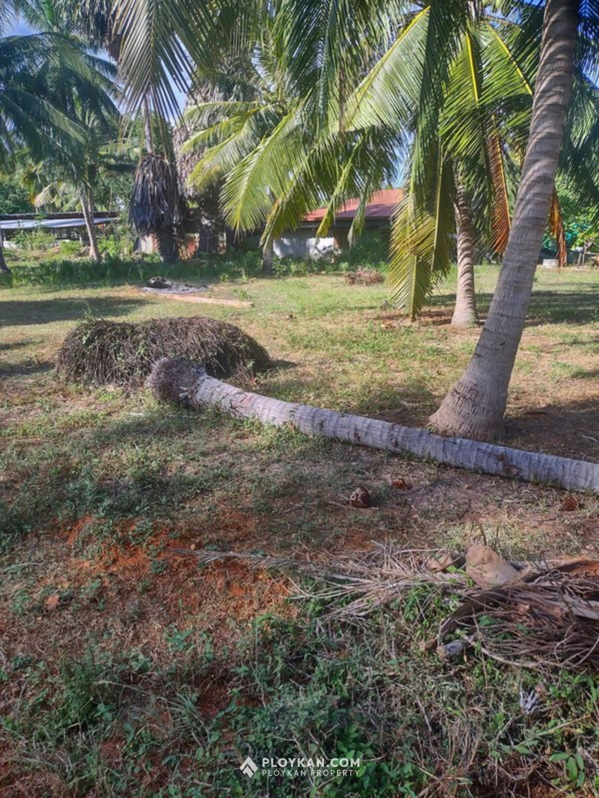 Last Plot Available Near the Sea in Kuiburi