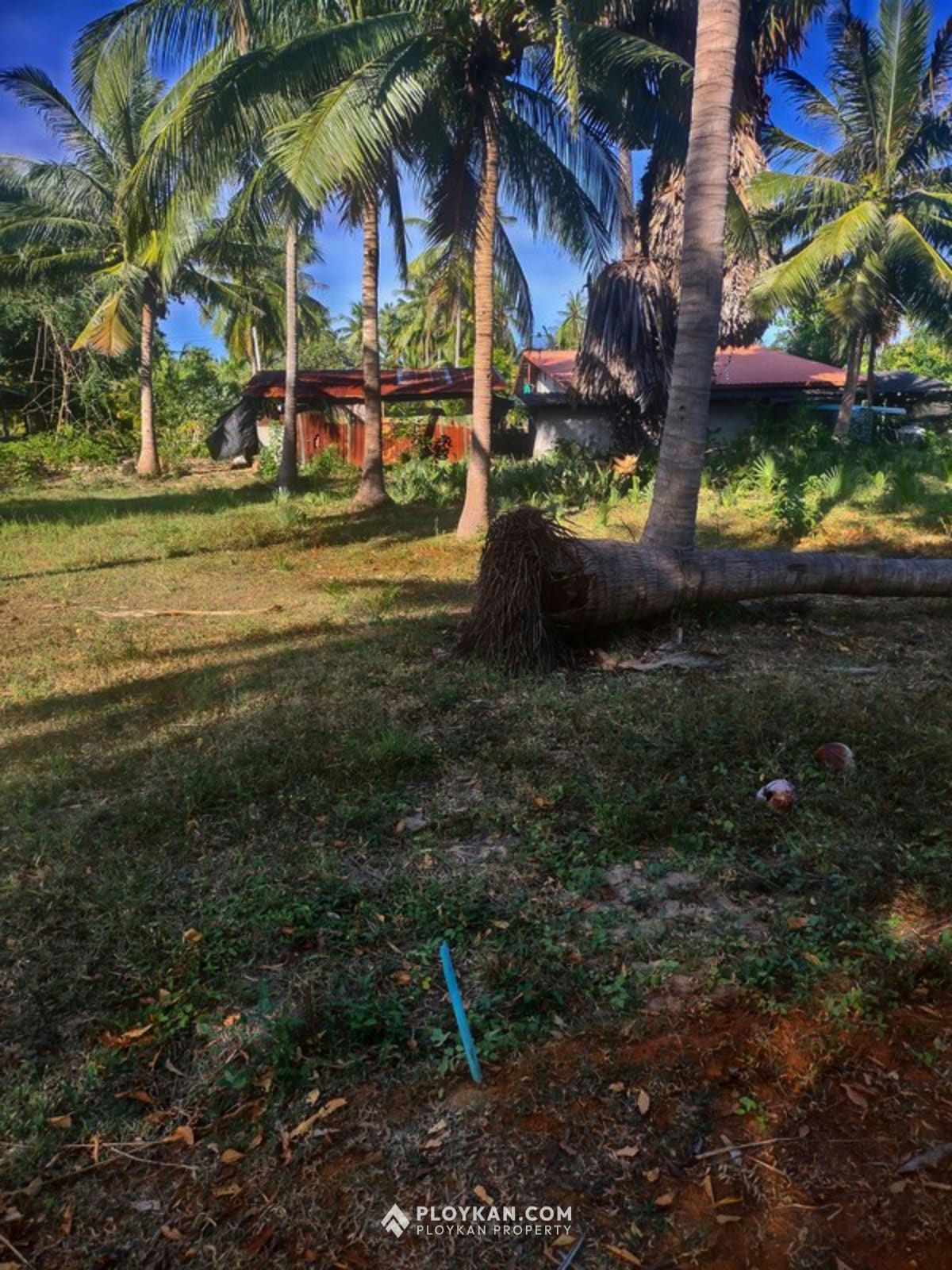 Last Plot Available Near the Sea in Kuiburi