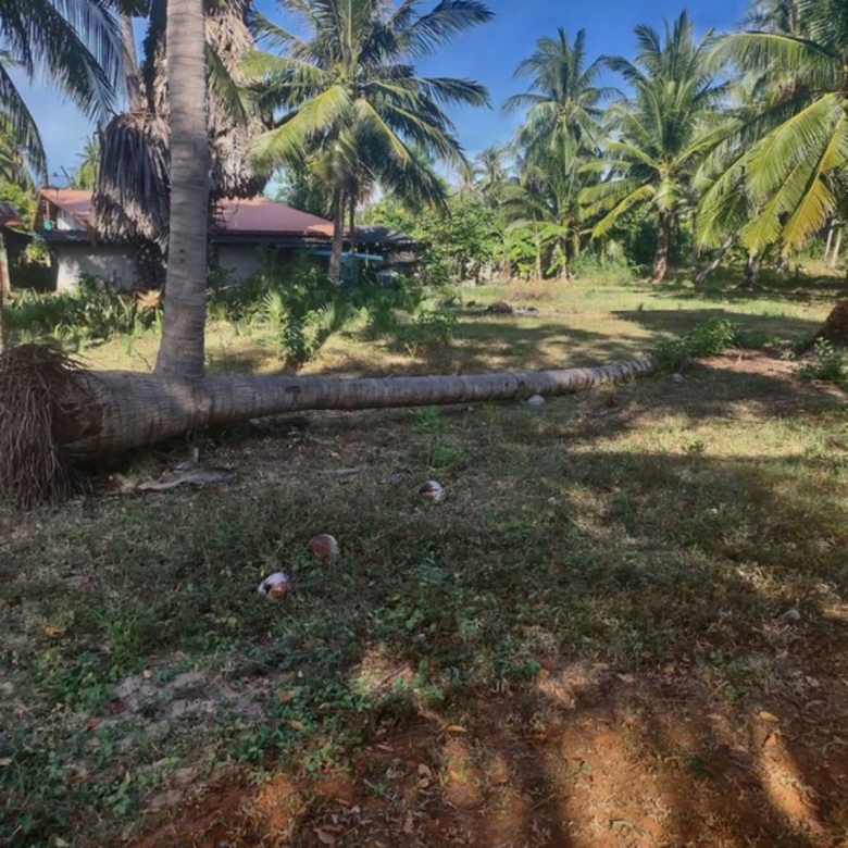 Last Plot Available Near the Sea in Kuiburi