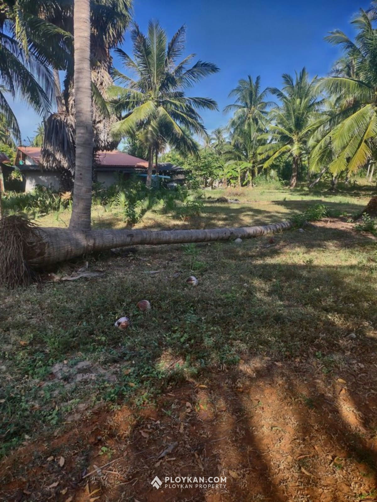Last Plot Available Near the Sea in Kuiburi